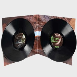 Canyon and Waves Double Vinyl Album